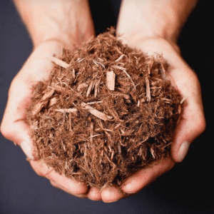 Classic Cedar Mulch