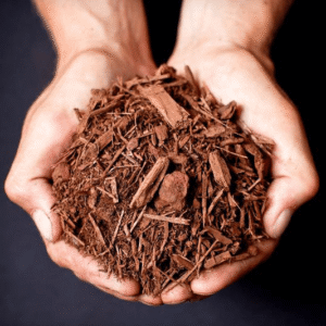 Hemlock Mulch