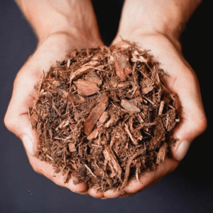 Shredded Pine Mulch