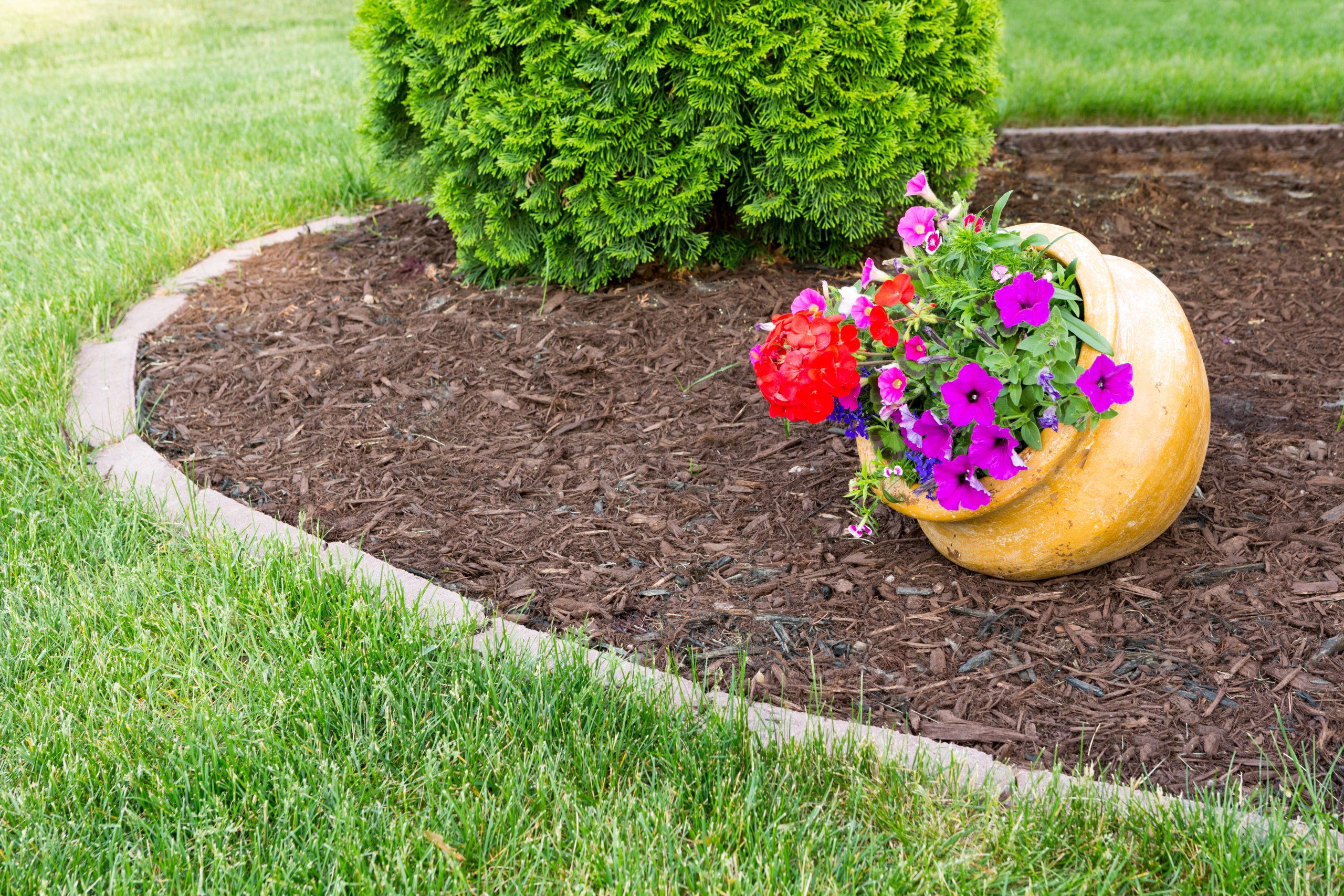 Composted Pine Mulch - Image 2