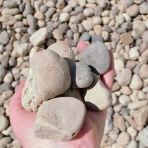 River Rock - Medium