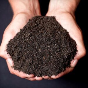 Screened Topsoil